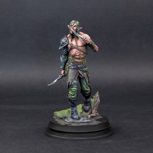Dark Wood Elf