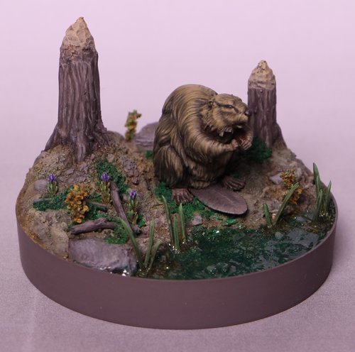 Beaver
