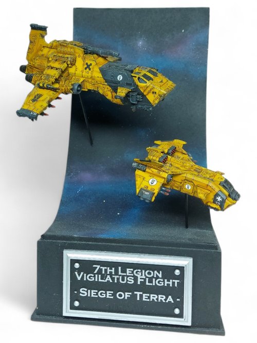 Vigilatus Flight