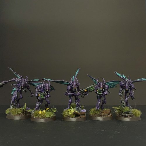 Vespid Stingwings (Nightwing Strain)
