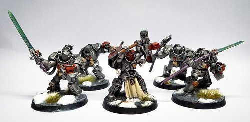 Grey Knights Paladin Squad