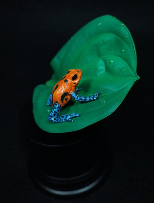 Dart Frog