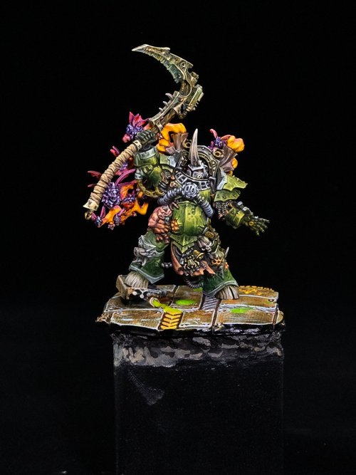 Typhus