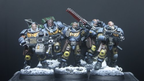 Wolf Scouts