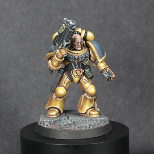 Celestial Lions Marine