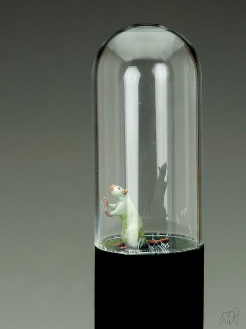 Captive