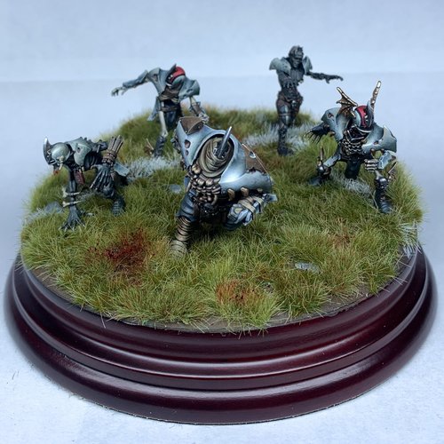 Bloodbowl Team