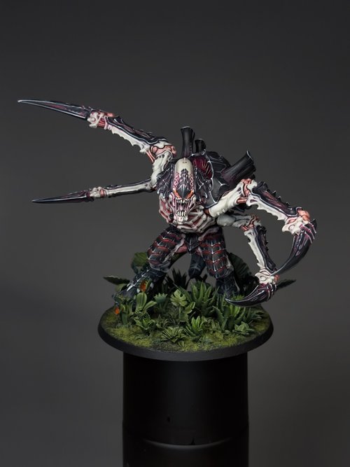 Screamer Killer