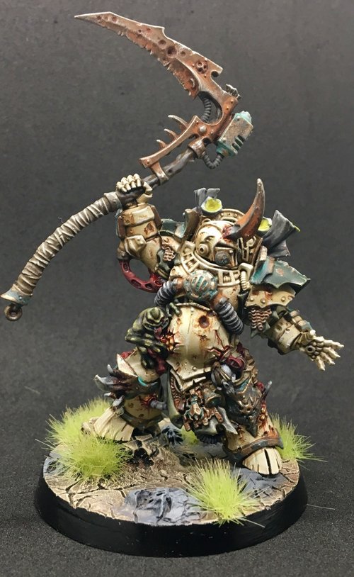 Typhus!