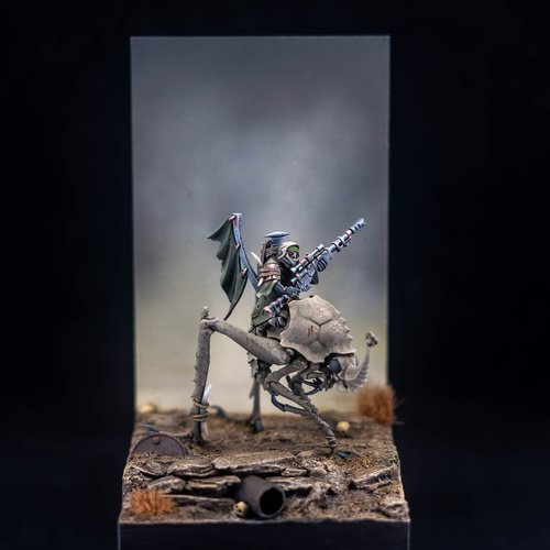 Ashwash Nomad