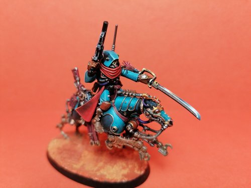 serberys raider