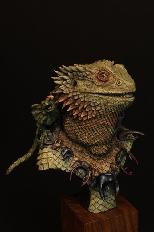 Elli - The bearded dragon