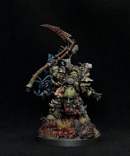 Typhus