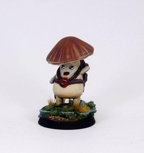 Mushroom adventurer