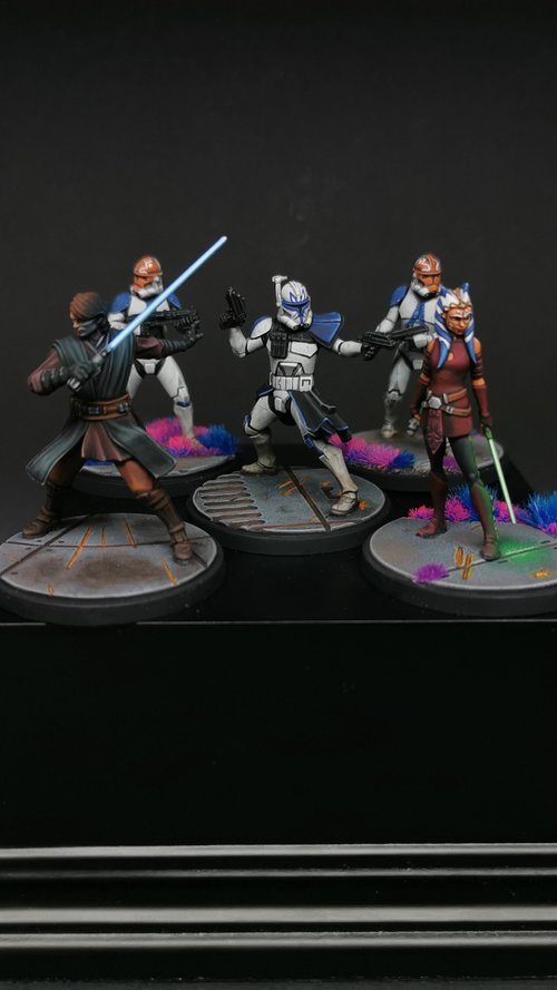 Star Wars 501st