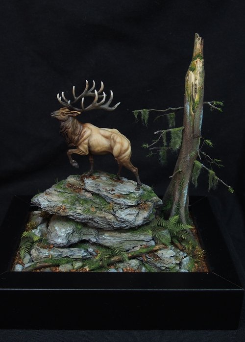 Cervus canadensis