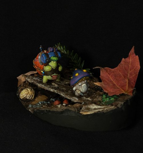 Mushroom Adventure