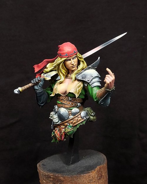 Alaana - Pirate from the misty seas